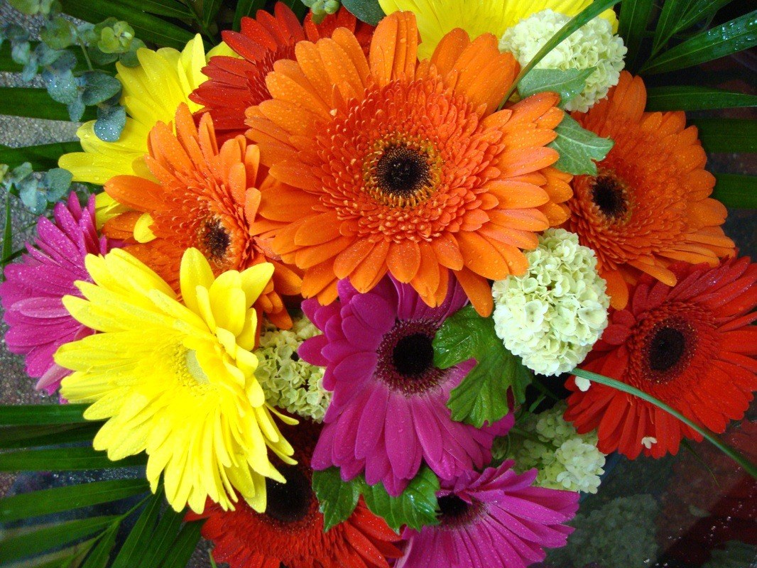 Hand-Tied Bouquets